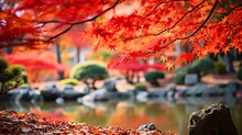 日本庭園にある紅葉したカエデ（イロハモミジ）の葉のアップ