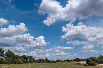 Wall Mural - Rural landscape and stunning skyscape with cumulus clouds.