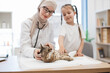 © sofiko14 - Furry animal lying on side during vet exam by specialist
