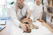 © sofiko14 - Woman in hijab observing cat while girl distracting animal