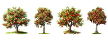 Apple Tree Red Apple Cutout Transparent Backgrounds . Generative AI