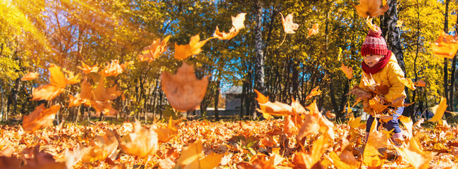 Autumn child in the park with yellow leaves. Selective focus.