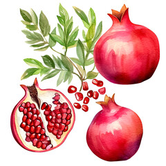 Wall Mural - Pomegranate fruit, watercolor illustration, on white background. Generative AI