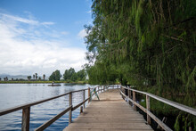 Tranquil Crossing - Wooden Bridge Over Media Luna Lake