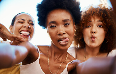 Poster - Funny selfie, portrait and friends in a house for bonding, social media or happy together. Diversity, home and face of crazy women taking a picture for memory with tongue out, comedy and smile