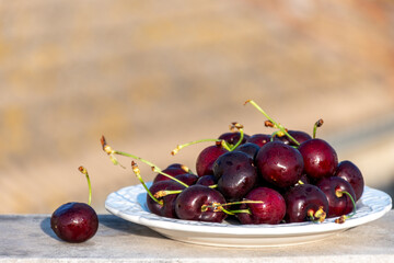 New harvest of fresh ripe dark red cherry berry in Provence, France