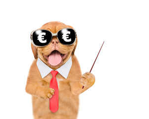 Aufkleber - Funny dog wearing necktie and sunglasses with euro sign points away on empty space