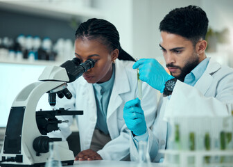 Canvas Print - Science team, test tube plant and microscope analysis of natural product, biotechnology and teamwork on botany development. Lab collaboration, investigation and scientist inspection of organic growth