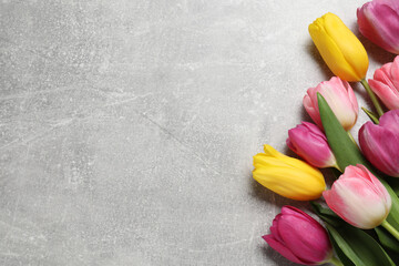 Wall Mural - Beautiful colorful tulip flowers on grey table, flat lay. Space for text