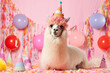 Cute funny llama wearing birthday hat, birthday greeting banner, copy space 