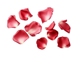 Wall Mural - red rose flower petals scattered.