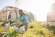 © Davids C/peopleimages.com - Farm management, black woman and chicken on agriculture on a eco friendly and sustainable with livestock. Countryside, field and agro farmer with smile from farming, animal care and working in nature