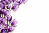 Fototapeta Kwiaty - greeting card with crocuses on a white background with space for text
