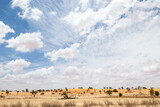 Fototapeta Sawanna - Arid Kgalagadi or Kalahari Landscape, South Africa