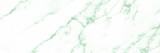Fototapeta Fototapety z końmi - Green white marble wall surface gray pattern graphic abstract light elegant for do floor plan ceramic counter texture tile silver background.