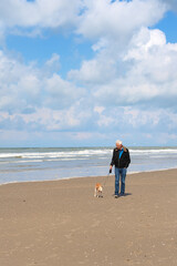 Wall Mural - Man walking the dog at the beach