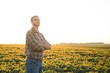 © Serhii - Farmer in soybean fields. Growth, outdoor.