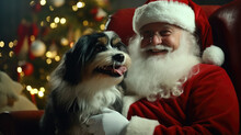 Santa Claus With A Dog On His Lap Sitting On The Chair Looking At The Camera In A Photoshoot.