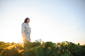 Wall Mural - Female farmer or agronomist examining green soybean plants in field