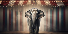 Striped Background With Elephant, Creative Concept Wallpaper Of Traveling Circus With Trained Animals, Circus Poster. 3d Render Illustration Style. 