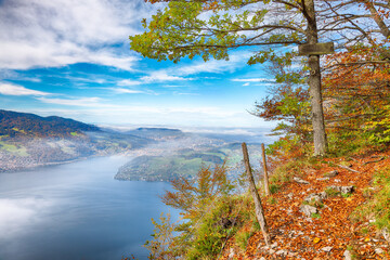 Wall Mural - fabulous autumn view of stansstad city and lucerne lake with mountaines and fog.
