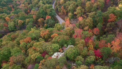 Wall Mural - Winding asphalt mountain road through autumn forest with colorful trees and fall leaves colors