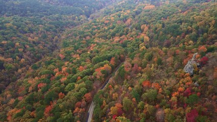 Wall Mural - Winding mountain road winds through autumn forest with colorful trees and fall leaves colors