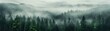 © SKIMP Art - misty forest landscape Generative AI