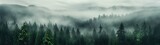 Fototapeta Las - misty forest landscape Generative AI