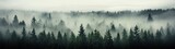 Fototapeta  - dark pine trees in mist Generative AI