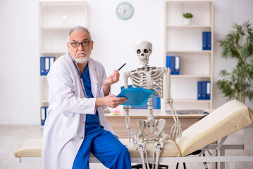 Wall Mural - Old male doctor examining skeleton in the clinic