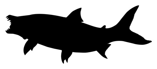 Wall Mural - Silhouette of the Hydrocynus goliath, also known as the goliath tigerfish, giant tigerfish, or mbenga, is a very large African predatory freshwater fish of the family Alestidae. Format PNG