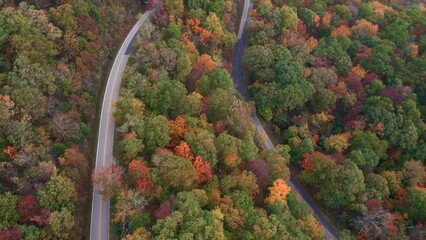 Wall Mural - Winding Ozark mountain road curves through autumn forest with colorful trees and Arkansas woods with fall leaves colors