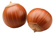 Hazelnut or filbert nut isolated.