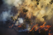 An Aerial Shot Of Wildland Firefighters