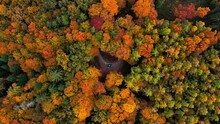 Stunning Aerial 4K Drone Video Of A Slovenia 's Fall Beauty And Road In The Middle Of A Lush Forest. Filmed In Beautiful Autumn Time.