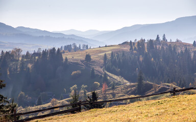 Wall Mural - Beautiful natural scenery. The hills in the fog. Sunny Morning landscape. nateral background.