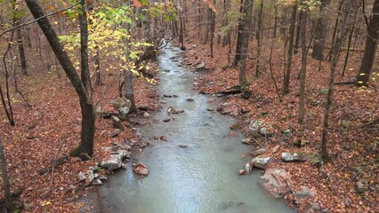 Wall Mural - Beautiful mountain creek in the forest of the Ozark mountains of Arkansas during autumn with fall colored forest trees 