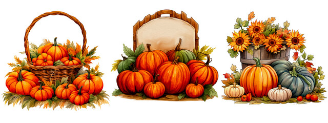 set of pumpkin patch of a farmer's market sign for a pumpkin patch isolated on transparent backgroun