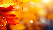 canvas print picture - Herbststimmung generiert mit KI.