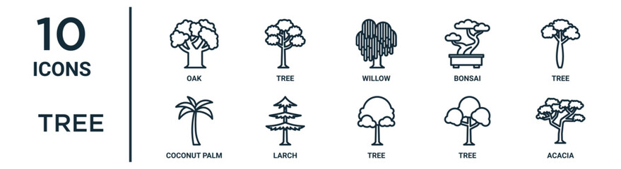 tree outline icon set such as thin line oak, willow, tree, larch, tree, acacia, coconut palm icons for report, presentation, diagram, web design