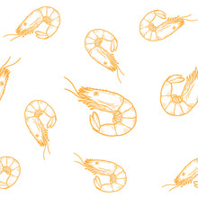 Fresh Shrimp Pattern On A White Background, Food Hand Drawn, Vector Illustration.