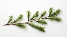 Pine Branch Isolated On White Background. Fir Tree Branch Isolated On White Created With Generative AI Technology
