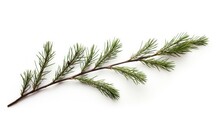 Pine Branch Isolated On White Background. Fir Tree Branch Isolated On White Created With Generative AI Technology