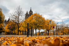 Scenic View Of Old Ancient Magdeburger Dom Cathedral At Dom Square In Magdeburg Old City Center In Bright Orange Autumn Trees Foliage In Cloudy Rainy Day. Germany Tourism And Travel Destiantion