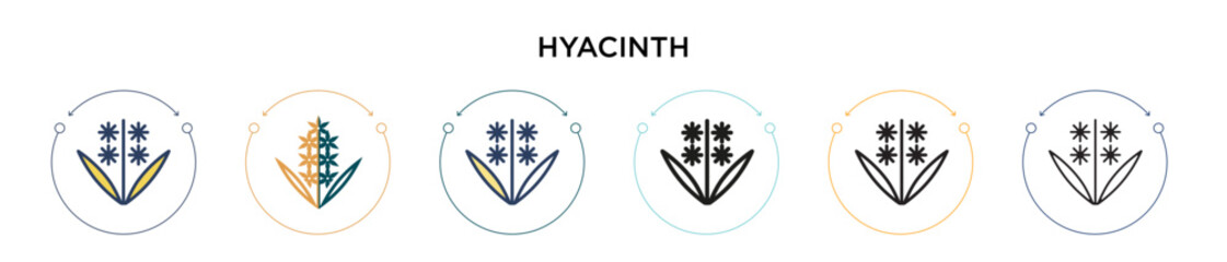 Hyacinth icon in filled, thin line, outline and stroke style. Vector illustration of two colored and black hyacinth vector icons designs can be used for mobile, ui, web