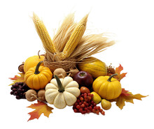Autumn Harvest Composition
