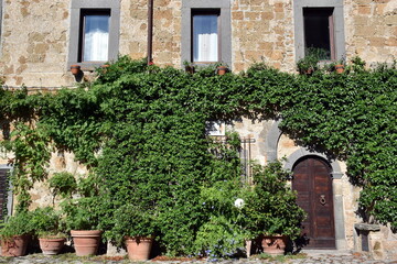 Begrünte Hausfassade in Bagnoregio 