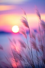 Little grass stem close-up with sunset over calm sea, sun going down over horizon. Pink and purple pastel watercolor soft tones. Beautiful nature background.