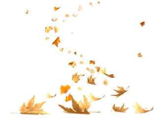 Wall Mural - leaves autumn background swirl falling isolated - 3d rendreing